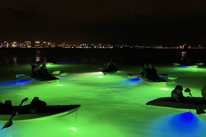 a group of people on a boat in the water