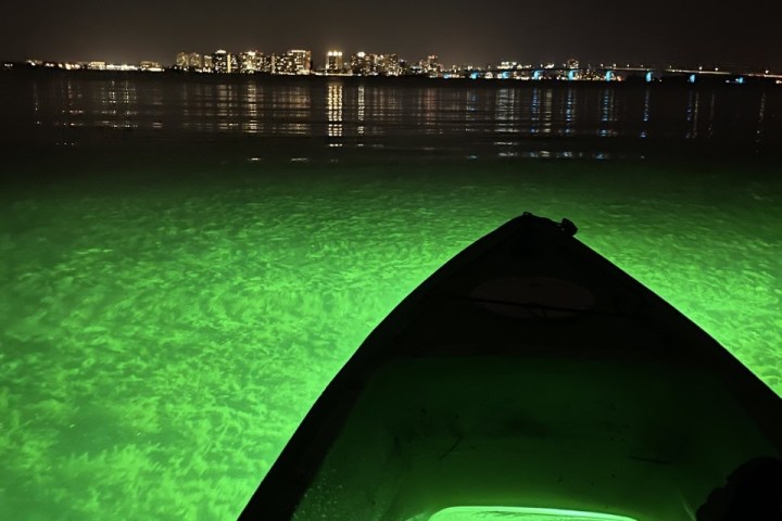 a person standing next to a body of water