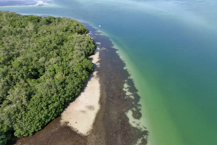 a view of a body of water