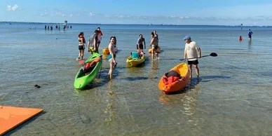 rs=w_388,h_194,cg_true