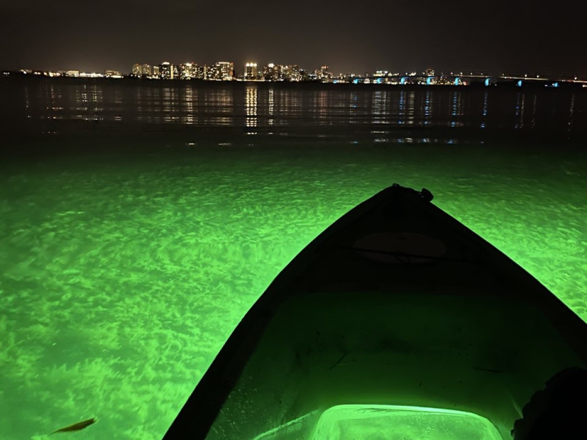 a person standing next to a body of water