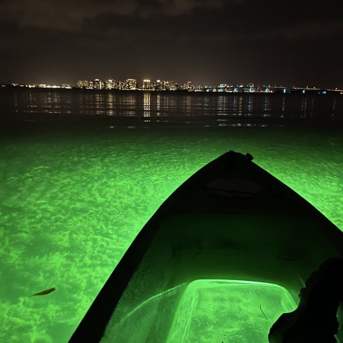 a person standing next to a body of water