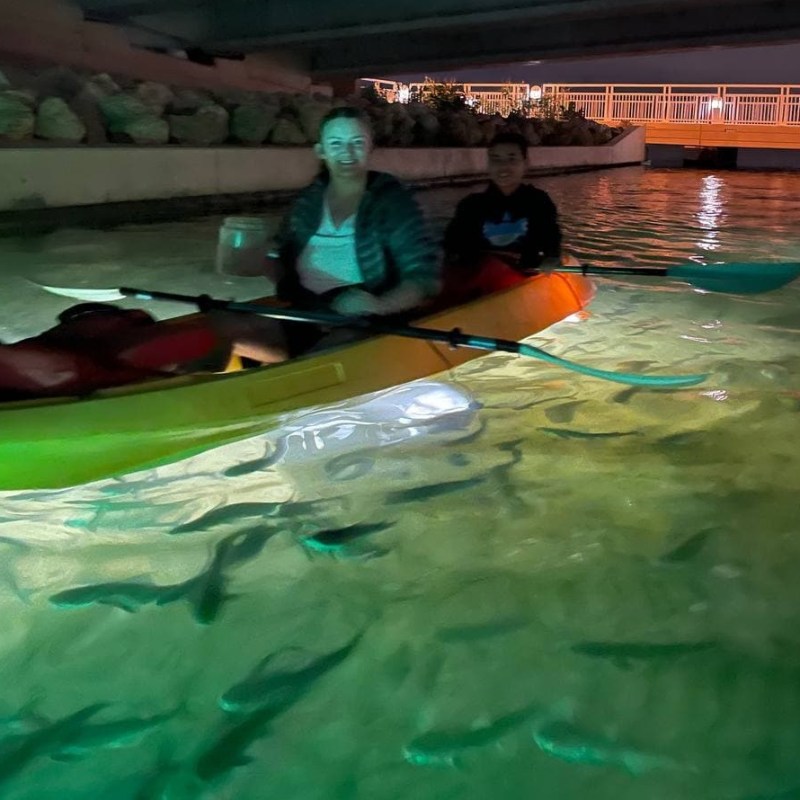 a group of people in the water