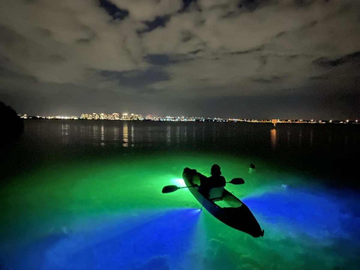 a man riding a wave on top of a body of water