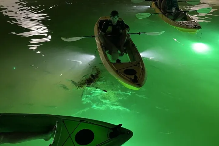 a person swimming in the water