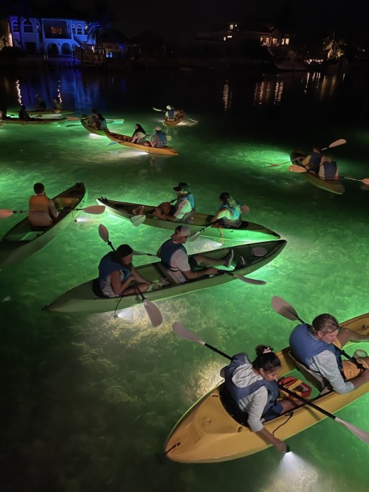 Glass Bottom Fish Feeding Night Tours Clearwater Beach | Sharkey's ...