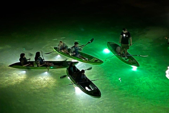 a group of people riding skis on top of a wave