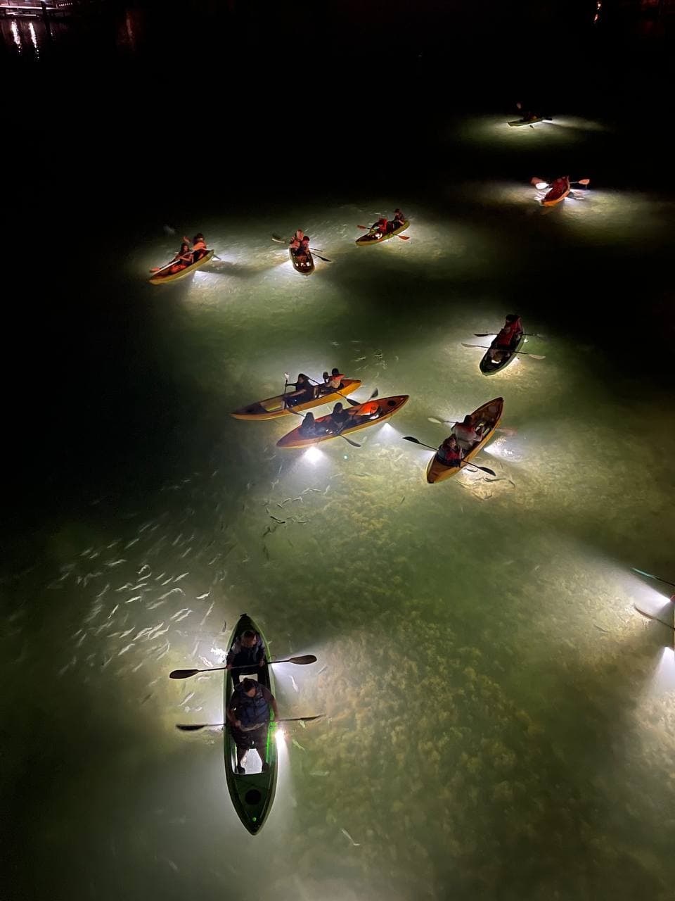 Glass Bottom Fish Feeding Night Tours Clearwater Beach | Sharkey's ...