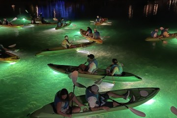 Glass Bottom Fish Feeding Night Tours Clearwater Beach | Sharkey's ...