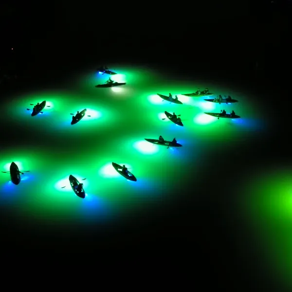 a group of people in a dark room