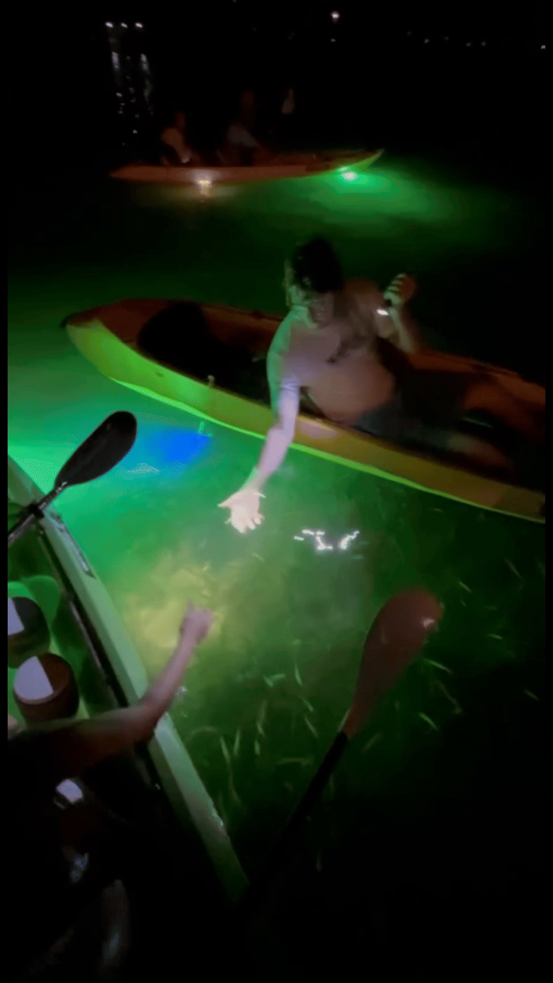 Glass Bottom Fish Feeding