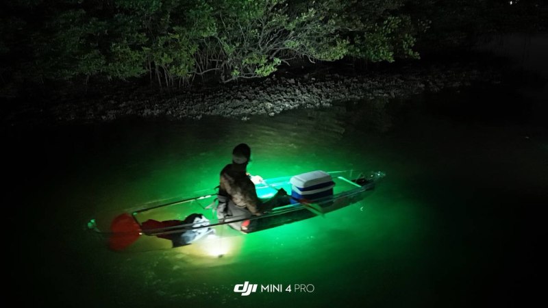 Kayaker in a glass-bottom kayak with green underwater lights paddling near mangroves at night, highlighting the tranquil and mysterious surroundings. Kayaker in a glass-bottom kayak with green underwater lights paddling near mangroves at night, highlighting the tranquil and mysterious surroundings.