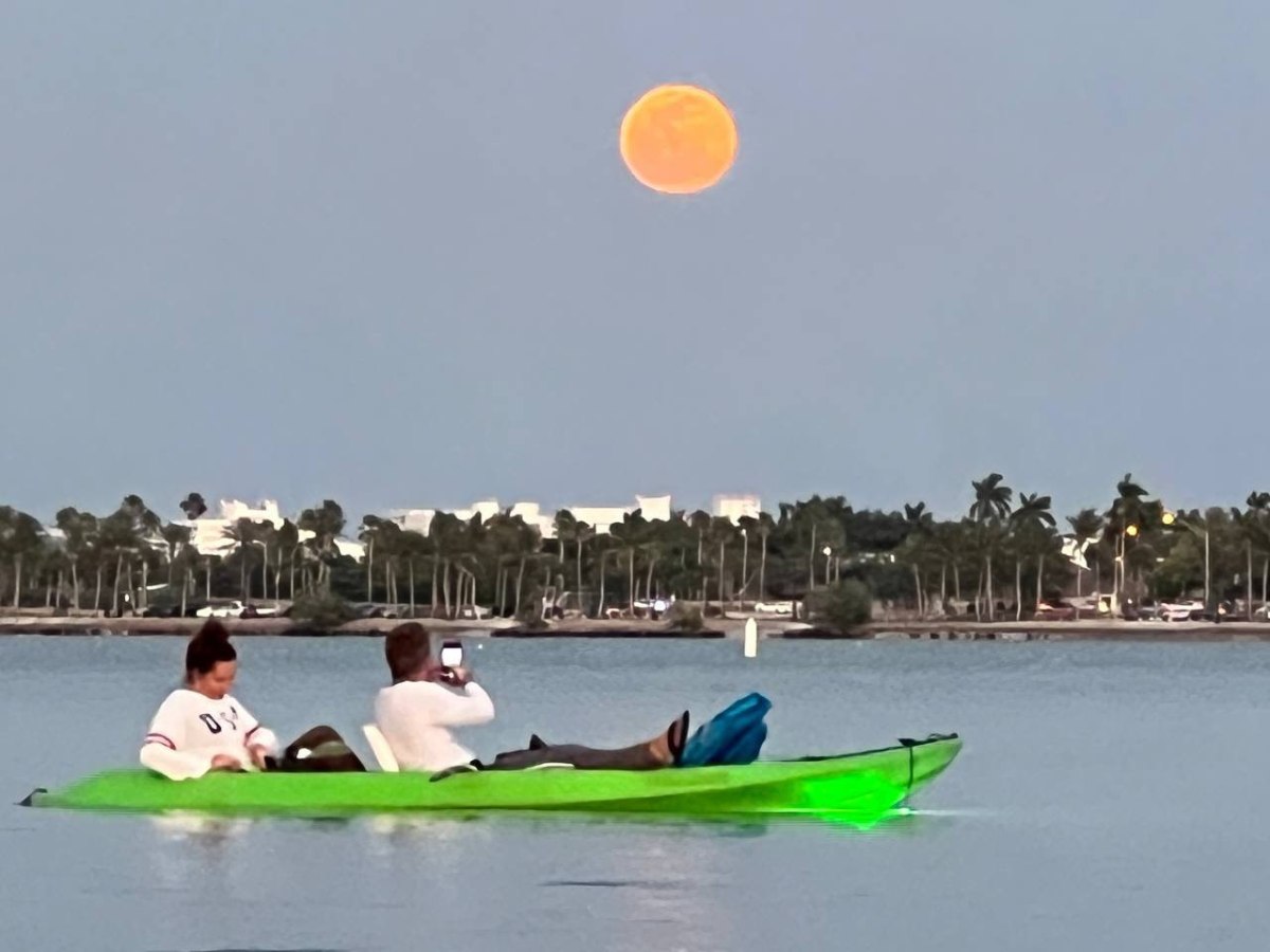 a group of people playing frisbee in a body of water