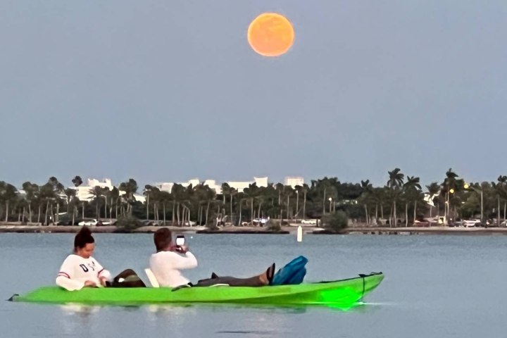 a group of people playing frisbee in a body of water