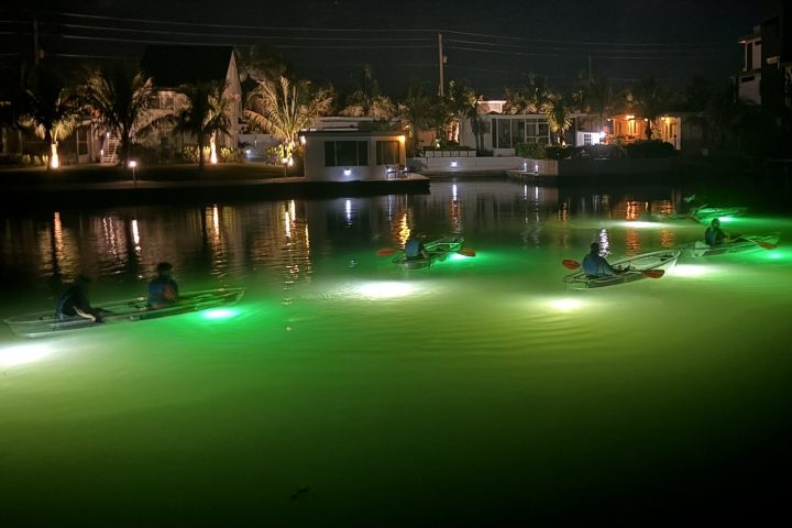 People kayaking on a lake at night with glowing green lights illuminating the water.