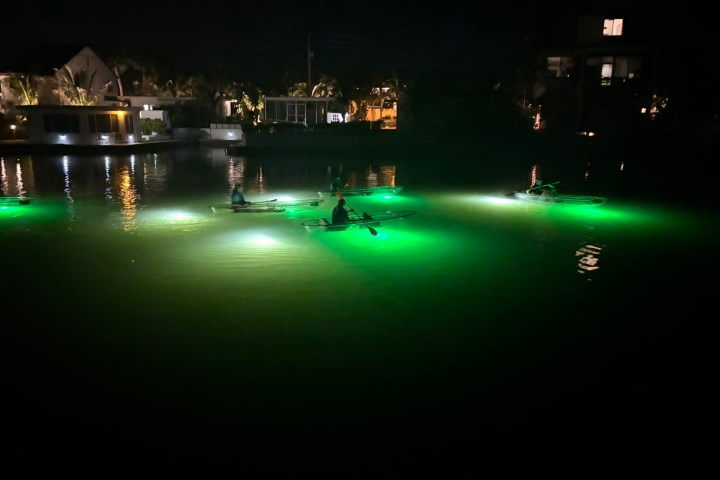 Kayaks with green lights on a dark waterway at night.