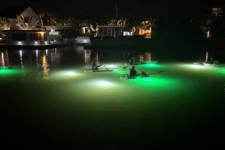 Several kayakers at night with glowing green lights on a calm body of water.