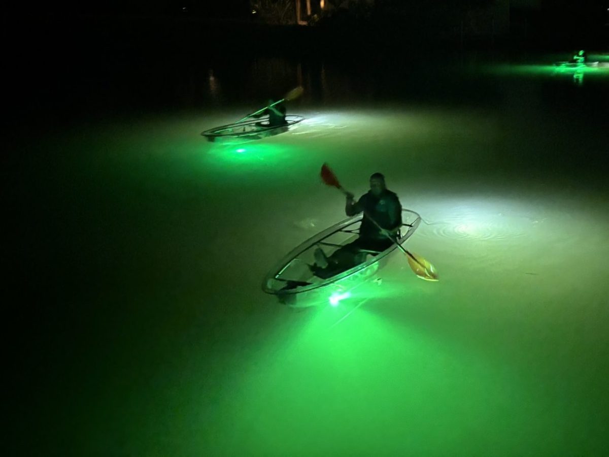 People in glowing kayaks paddle on dark water, illuminated by green lights.