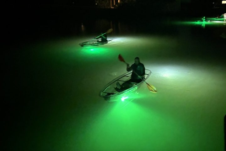 People in glowing kayaks paddle on dark water, illuminated by green lights.