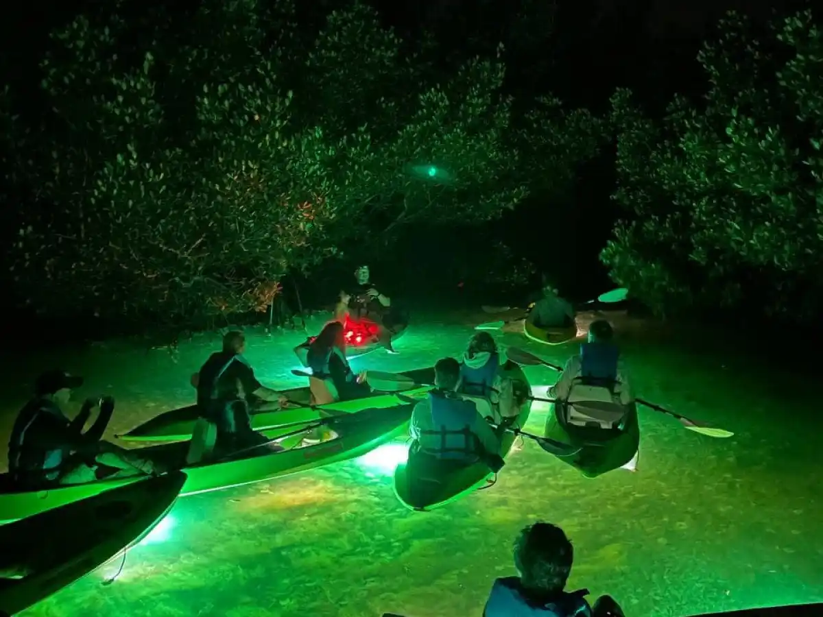 a group of people sitting around a green light
