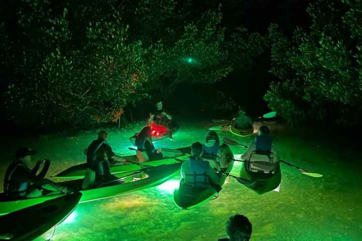 a group of people sitting around a green light