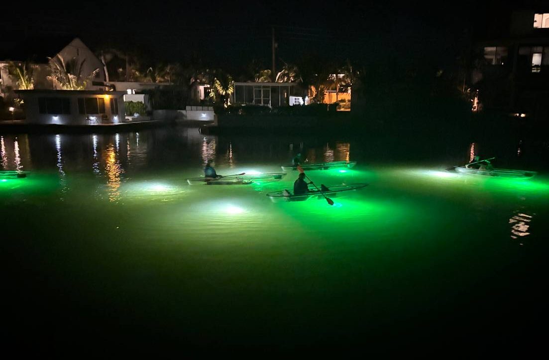 Glass Bottom Kayak LED Illuminated Fish Feeding Night Tours In