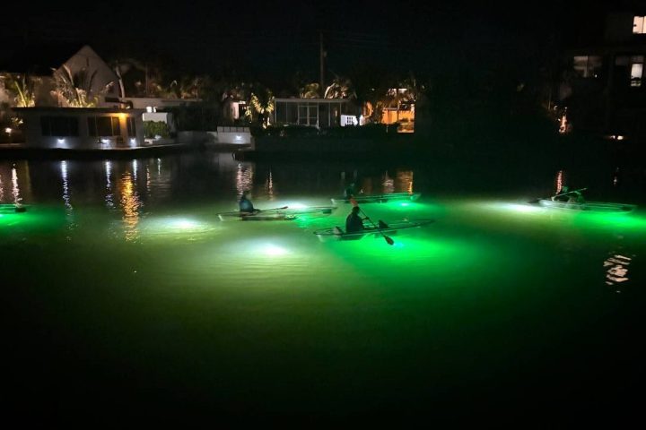 Night kayakers with green lights paddle on a dark, calm waterway.