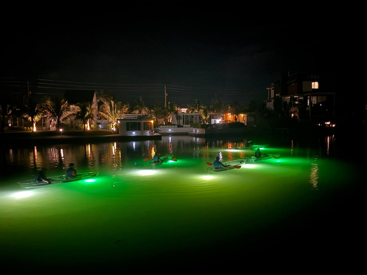 Glass Bottom Kayak LED Illuminated Fish Feeding Night Tours In