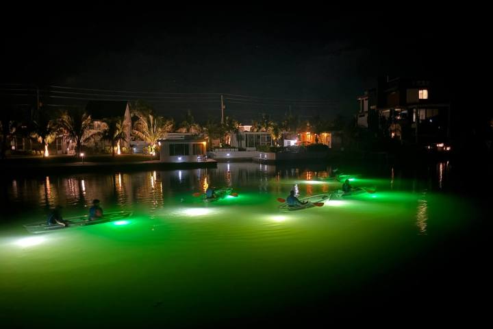 Kayaks with glowing green lights on a calm river at night, surrounded by lit-up buildings.