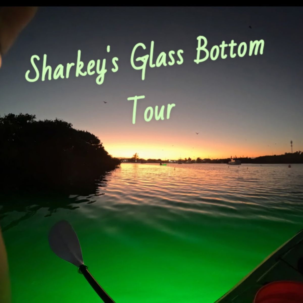 Kayak on glowing green water at sunset with 'Sharkey's Glass Bottom Tour' text.