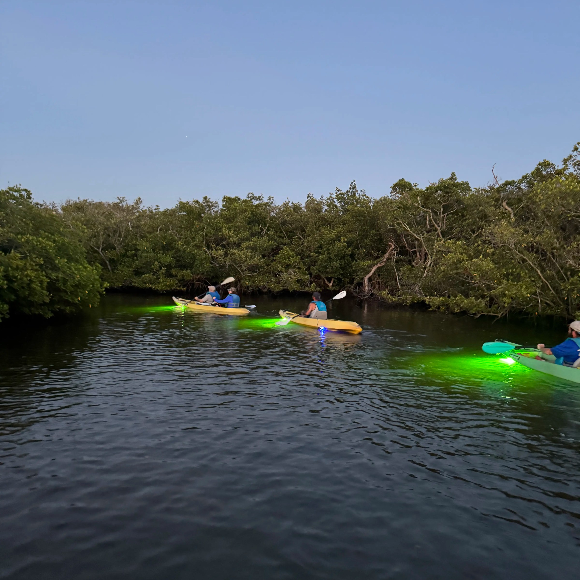 Three kayakers paddle on a calm river with glowing lights, surrounded by greenery.