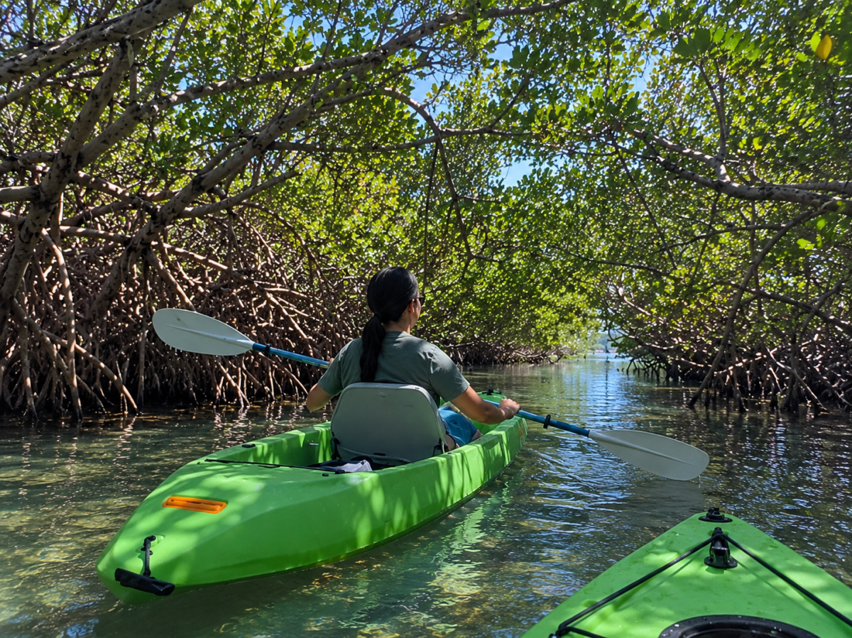 Person kayaking through dense green mangrove forest on calm water.