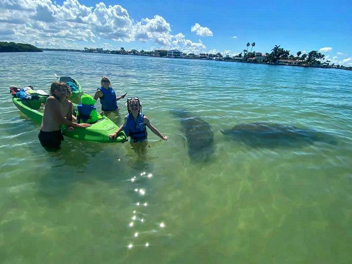 Children kayaking with manatees in clear shallow water under a blue sky.