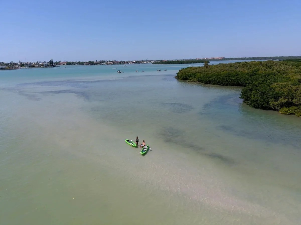 Two people kayaking on calm, clear water near lush greenery under a clear blue sky.